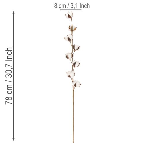 Artificial cotton branch with 8 real flowers, 78cm | Floristik24.co.uk