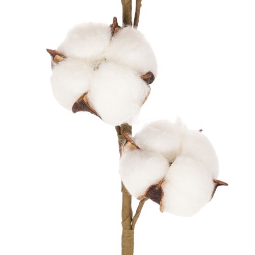 Artificial cotton branch with 8 real flowers, 78cm | Floristik24.co.uk