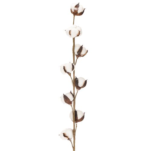 Artificial cotton branch with 8 real flowers, 78cm | Floristik24.co.uk