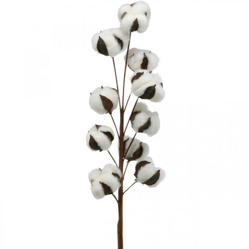 Floristik24 Cotton branch natural decoration 10 heads on a wire cotton decoration 68cm