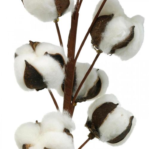 Product Cotton branch natural decoration 10 heads on a wire cotton decoration 68cm