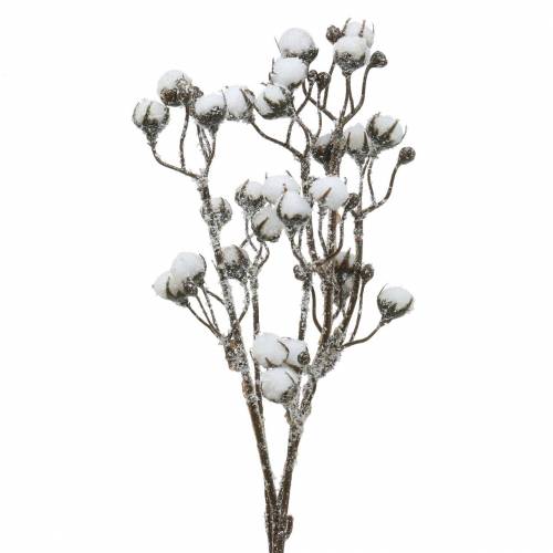 Floristik24 Iced cotton branch 47cm