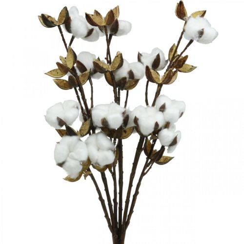 Floristik24 Cotton branch Artificial deco branch cotton 61cm 3pcs