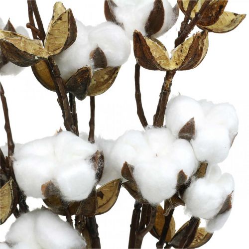 Floristik24 Cotton branch Artificial deco branch cotton 61cm 3pcs