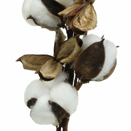 Product Cotton branch 75cm