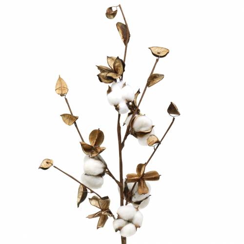 Floristik24 Cotton branch 75cm