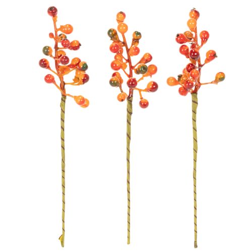 Bunch of orange berries, 20cm long | Floristik24.co.uk