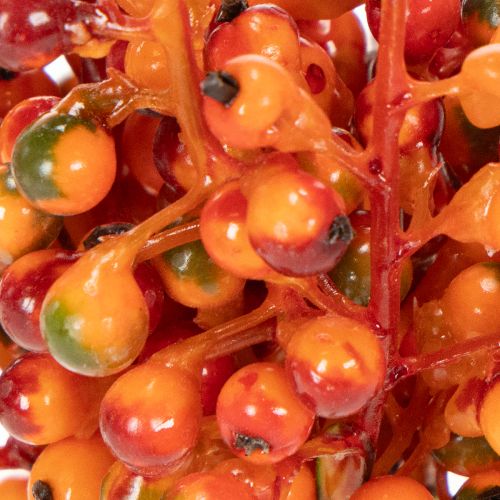 Bunch of orange berries, 20cm long | Floristik24.co.uk