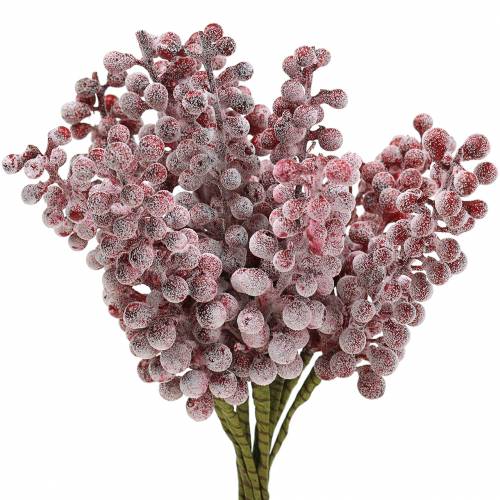 Floristik24 Berry pick red, iced 21cm 12p