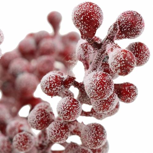 Floristik24 Berry pick red, iced 21cm 12 pcs