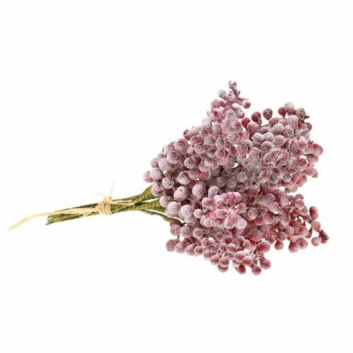 Floristik24 Berry pick red, iced 21cm 12 pcs