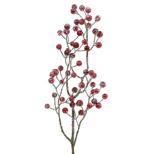 Floristik24 Berry branch red iced 52cm