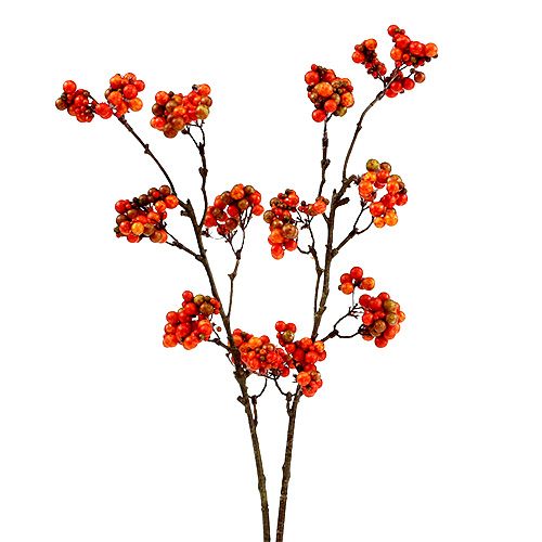 Floristik24 Berry branch orange L50cm 4pcs