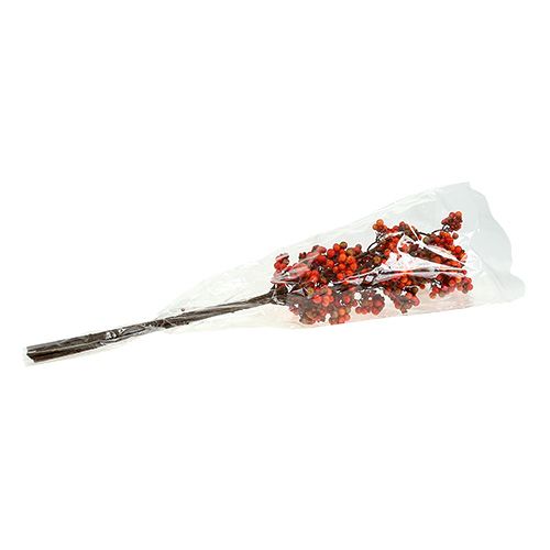 Floristik24 Berry branch orange L50cm 4pcs