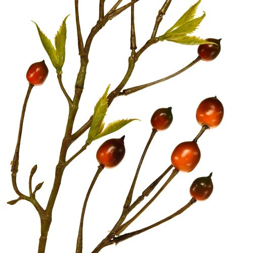 Floristik24 Berry branch red artificial artificial branch deco branch 82cm