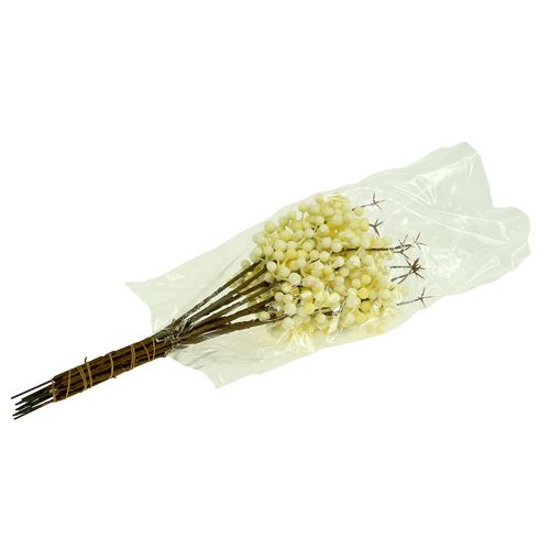 Product Berry branch cream L 30cm 12pcs