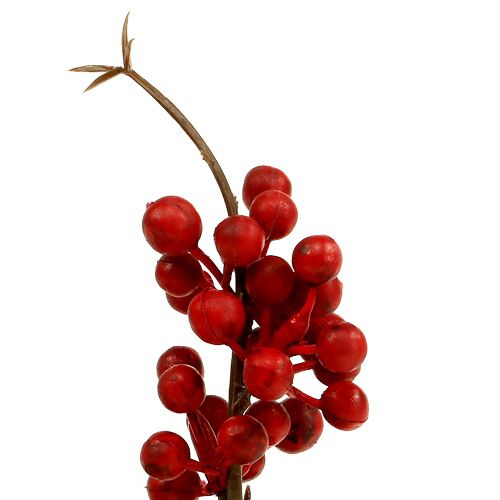 Product Berry branch red L 30cm 12pcs