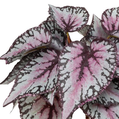 Product Artificial begonia bush Bordeaux 37cm