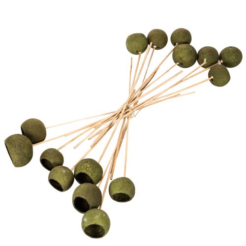Bell Cup on Stick Green Dried Exotic 5-7cm 15pcs | Floristik24.co.uk