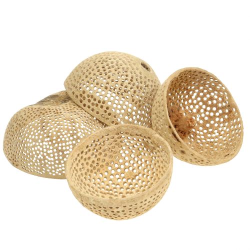 Floristik24 Dried Fruits Bell Cup Natural Mourning Decoration 8.5-11cm 10 Pcs