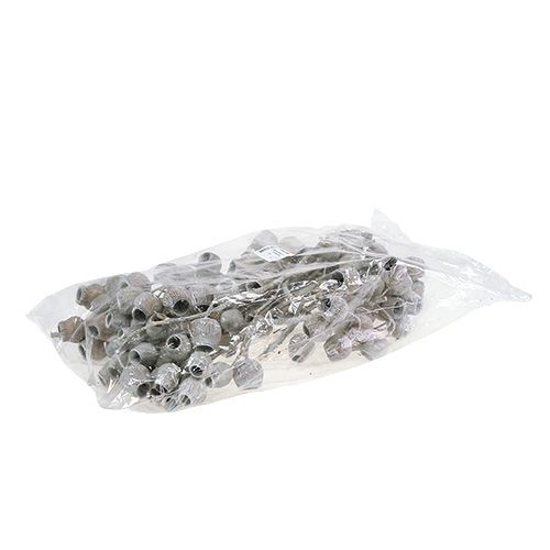 Product Bellgum branch with 5-7 fruits white washed 20 pcs