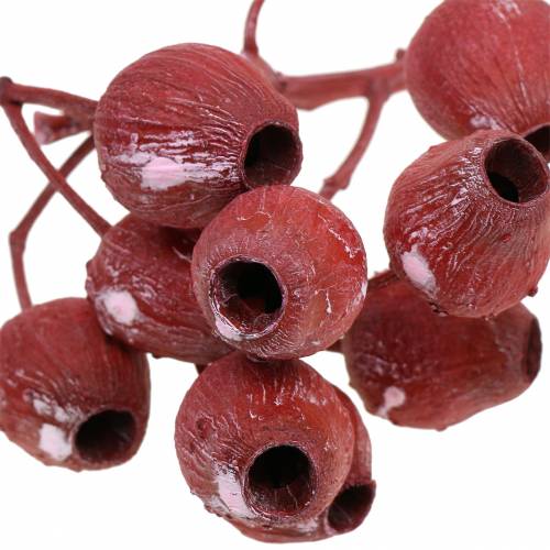 Product Bellgum branch 5cm - 7cm red frosted 20 pcs