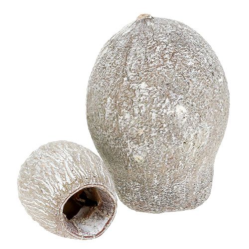 Product Bellgums whitewashed 2cm - 5cm 500g
