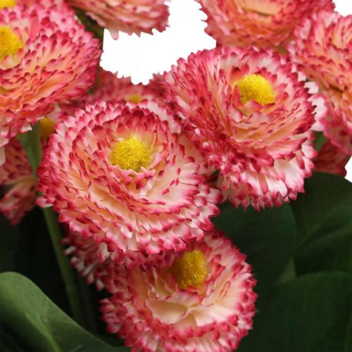 Product Artificial flower, artificial bellis in bunch, daisies white-pink L32cm 10pcs