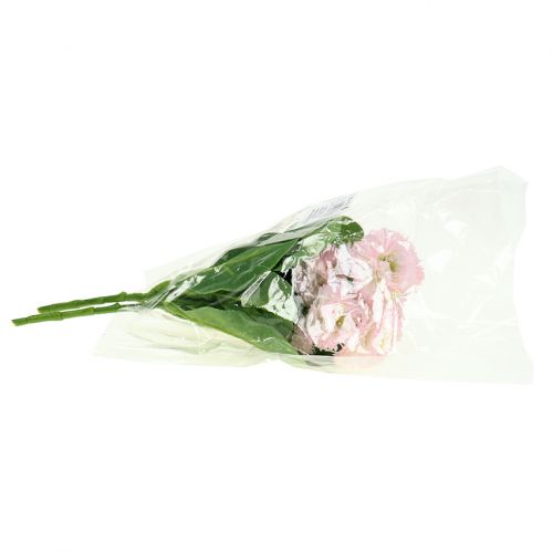 Product Bellisbund light pink 24cm 2pcs