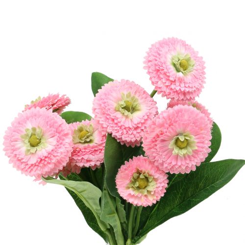 Floristik24 Bellisbund Rosa 24cm 2pcs