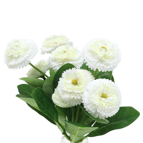 Floristik24 Bellisbundle white 24cm 2pcs