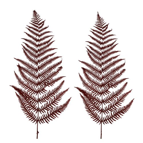 Fern decorative mountain fern dried leaves wine red 50cm 20pcs