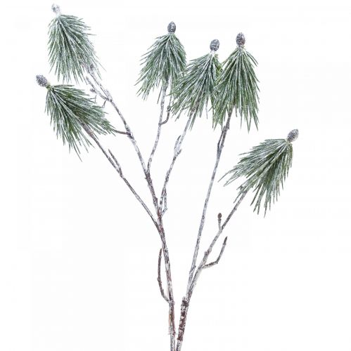 Floristik24 Winter decoration mountain pine branch artificially snowed L70cm