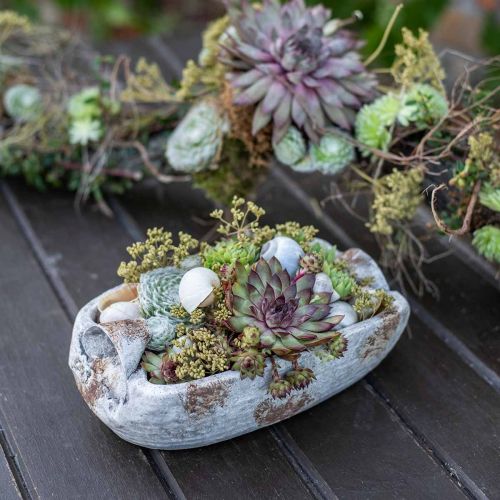 Floristik24 Concrete bowl oval white gray brown with handles antique L25cm
