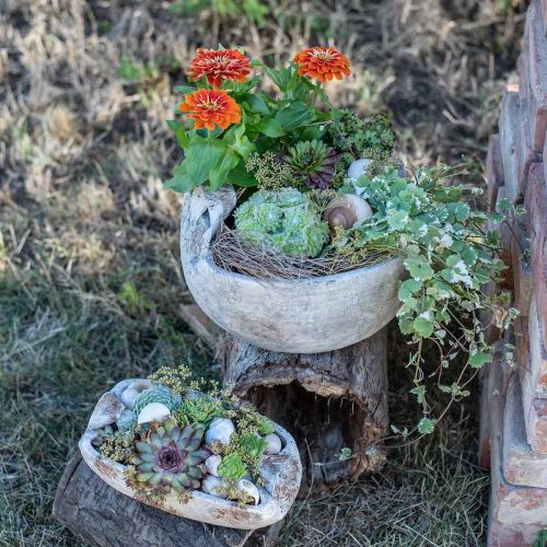 Floristik24 Concrete Bowl White Gray Brown with Antique Handles L28cm