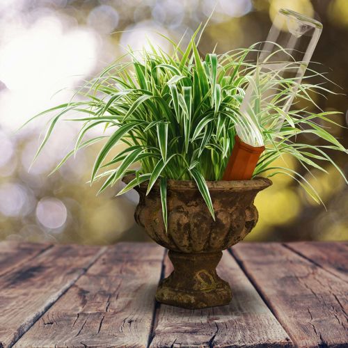 Terracotta Bottle Watering Spike for Potted Plants, 18 cm | Floristik24.co.uk