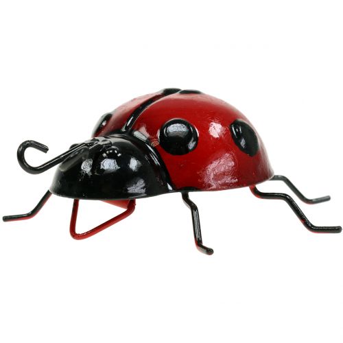 Floristik24 Ladybug 10cm