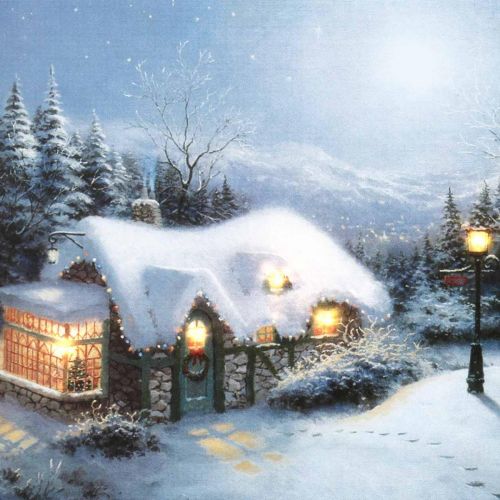 Product LED mural winter landscape with house 38×28cm For battery