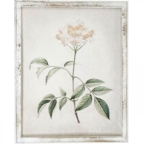 Floristik24 Picture with shabby chic wood frame, flower wall decoration 40×50cm