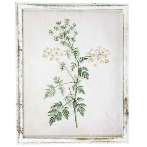 Product Vintage wall decoration, picture with frame wood dried plant 40×50cm
