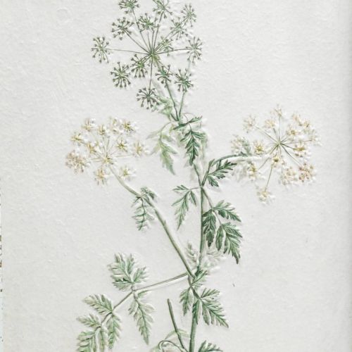 Product Vintage wall decoration, picture with frame wood dried plant 40×50cm