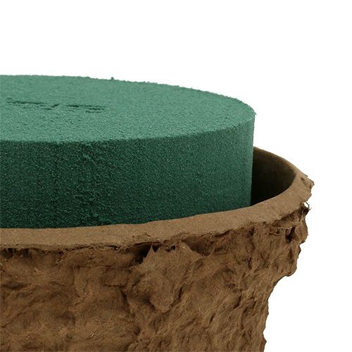 Product Wet floral foam with bowl for flowers H10cm Ø16cm 2pcs