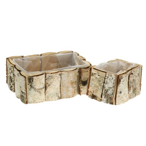 Floristik24 Planter birch 2pcs