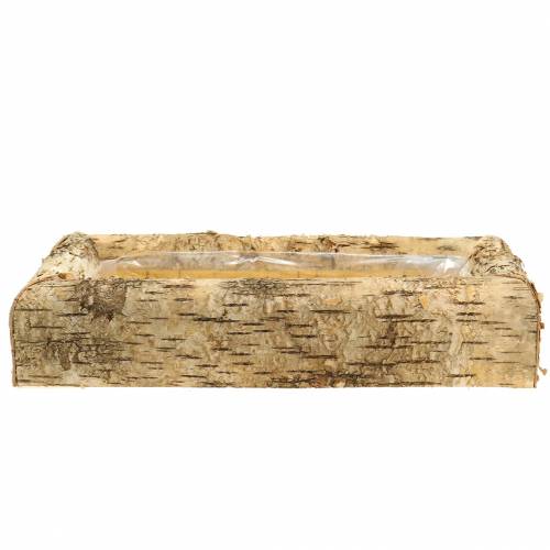 Floristik24 Planter Birch 40cm x 20cm H8,5cm