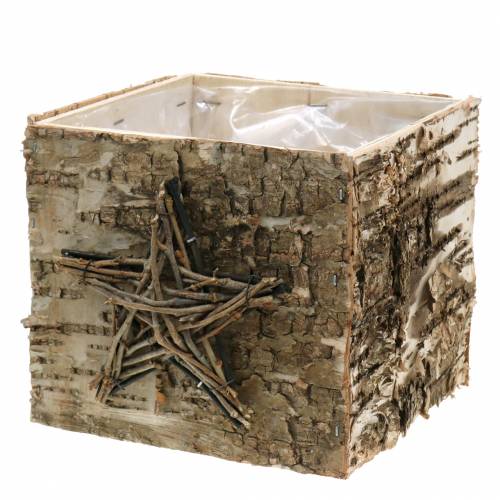 Floristik24 Plant pot birch pot with star H15,5cm