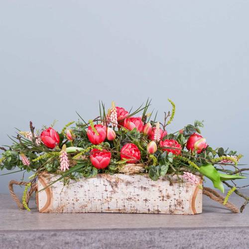 Floristik24 Plant box birch with rope handles 38x16cm H9cm