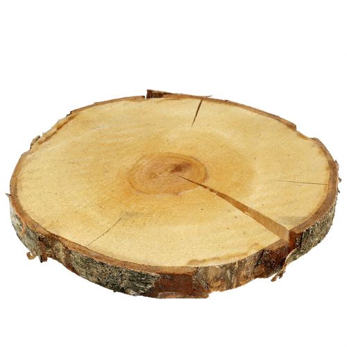 Floristik24 Birch slice natural Ø30cm - 35cm