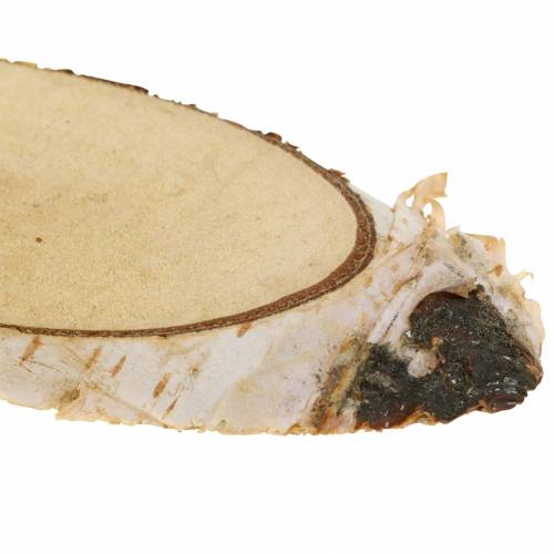 Floristik24 Birch slices oval natural 4×8cm 1kg for decoration