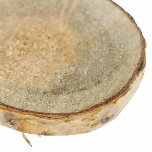 Floristik24 Birch slices round natural 5cm 1kg for decoration with bark