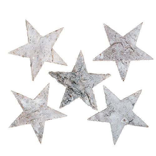 Floristik24 Birch Star white washed 6,5cm 36pcs